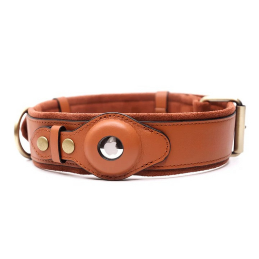 SafeTrack™ AirTag Leder-Halsband