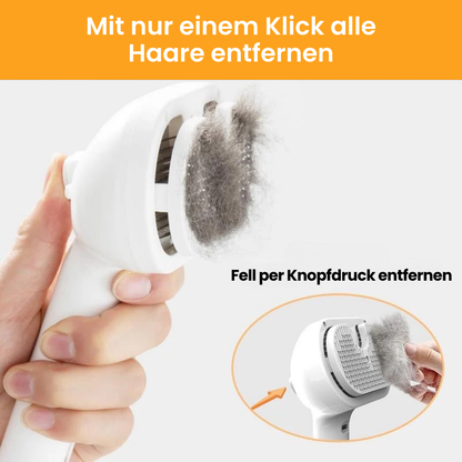 Felanis™ – 3-in-1 Fellbürste mit Sprühnebel